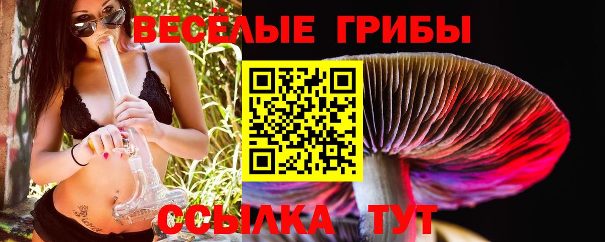 Псилоцибиновые грибы Psilocybe  Галлюциногенные грибы мицелий  Великие Луки  Вход с VPN 